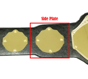 Replacement Custom Side Plate 4x4