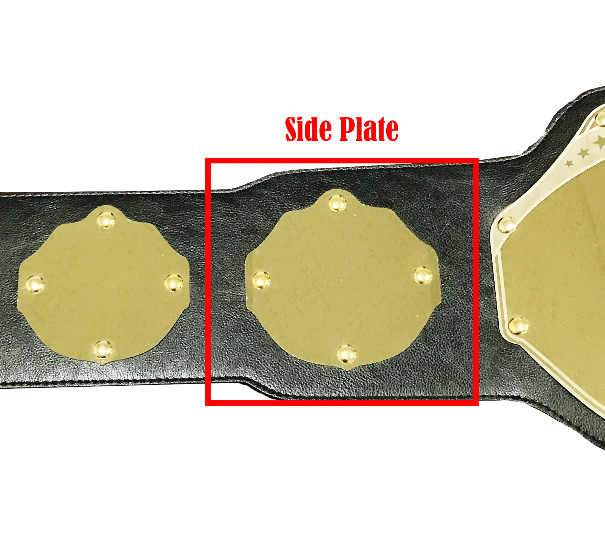 Replacement Custom Side Plate 4x4