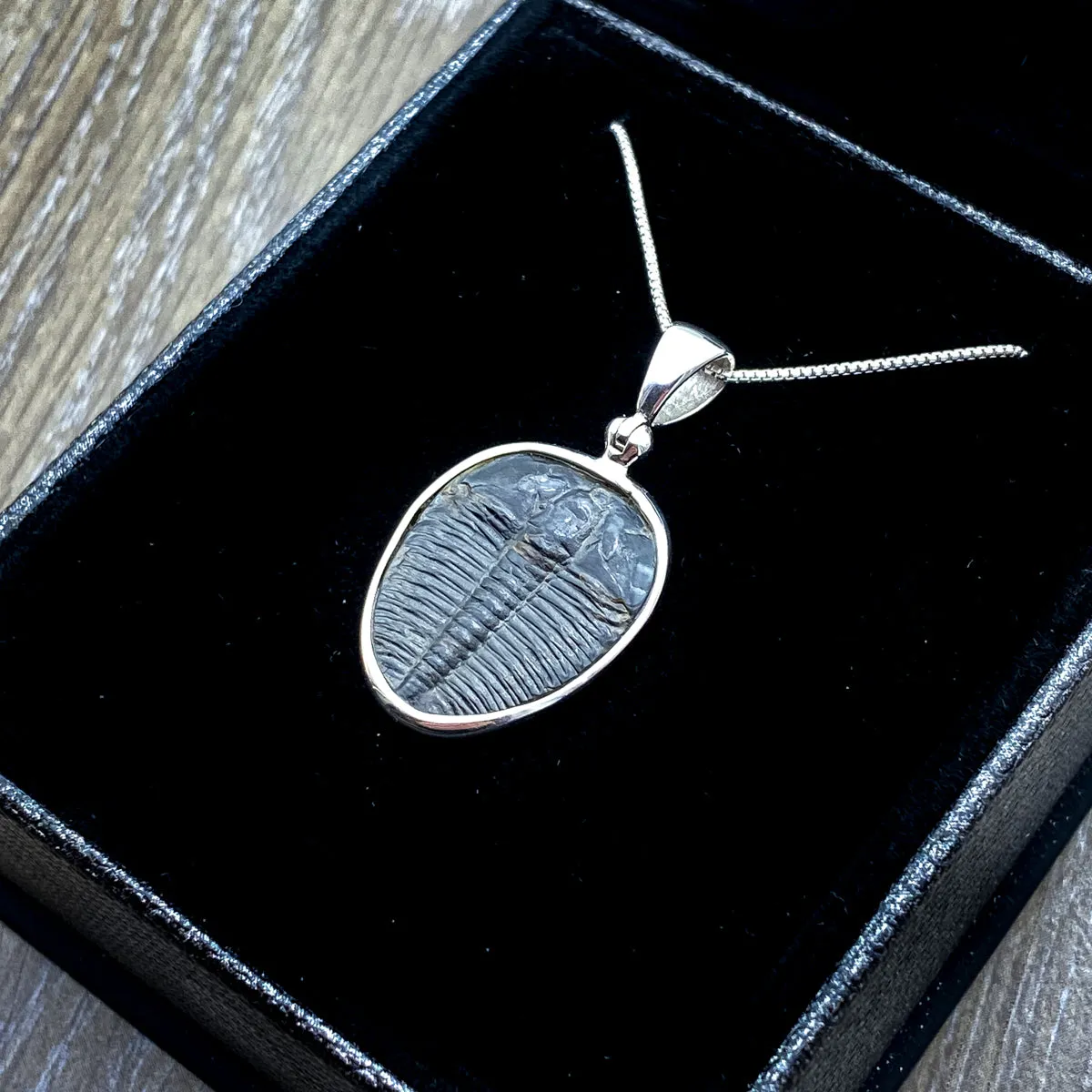 Trilobite Jewelry