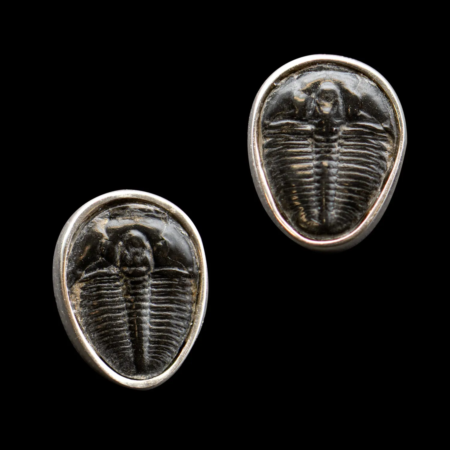 Trilobite Jewelry