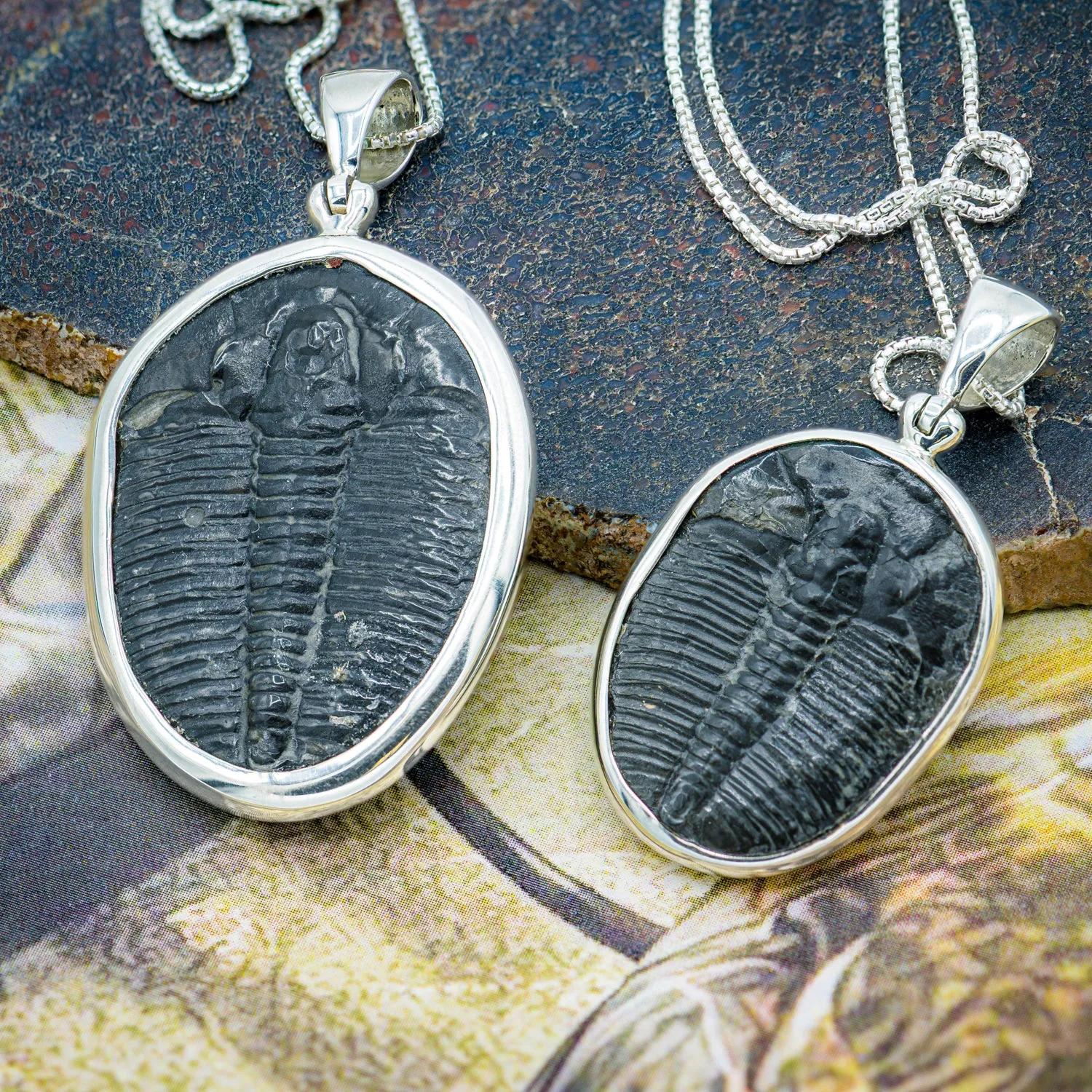 Trilobite Jewelry