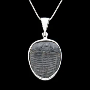 Trilobite Jewelry